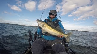 Mid water fishing at Rutland Water for Zander FV10 [upl. by Kreg]