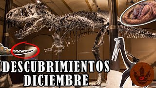 DESCUBRIMIENTOS DICIEMBRE 2021 EMBRIÓN DE DINOSAURIO ARTICULADO INFECCIÓN ÓSEA EN TYRANNOSAURUS [upl. by Deraj217]