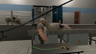 FS19 ABATTOIR COCHON HD [upl. by Erlina]