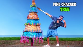 Fire Cracker Tree  പടക്കമരം കത്തിച്ചപ്പോൾ  M4 Tech [upl. by Evoy]