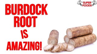 10 Burdock Root Benefits YOU NEED TO KNOW [upl. by Angelina]