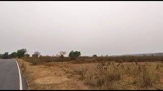 1100 acre cnt free land available for sale in jharkhand more information call me 9801772630 [upl. by Morley]