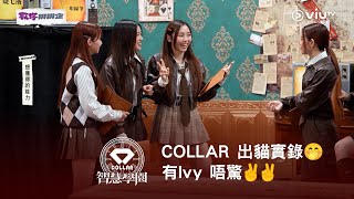 《COLLAR 智慧學園》COLLAR 出貓實錄🤭有Ivy 唔驚✌️✌️ [upl. by Atilal341]