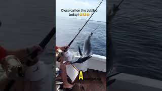 Why Marlin Fishing Could Be More Dangerous Than You Think shorts marlinfishing fishing [upl. by Emilie]