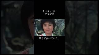 「時をかける少女」原田知世がこの映画でスターになった本当の理由 [upl. by Chilson]