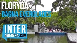 Floryda Everglades rejs łodzią AirBoat po Bagnach [upl. by Yeblehs]