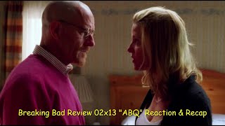 Breaking Bad Review 02x13 quotABQquot Reaction amp Recap [upl. by Aisereht]