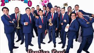 CONTIGO PERÚ  ORQUESTA ZAPEROKO  VERSIÓN ESTUDIO [upl. by Raffaj]