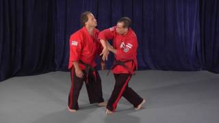 Kenpo Self Defense Technique Sample Video [upl. by Clotilde]