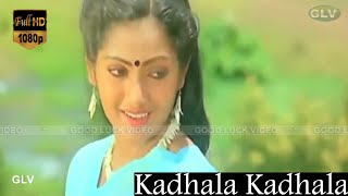 Kadhala Kadhala Song  Thaikku Oru Thalattu Movie  Pandiarajan Rohini  Ilaiyaraaja Duet Song HD [upl. by Mic207]