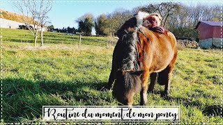 ROUTINE DE MON PETIT PONEY 😍 [upl. by Anem]