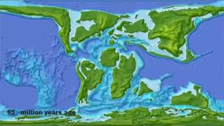 From Pangea to Today  Continental Drift [upl. by Attah258]