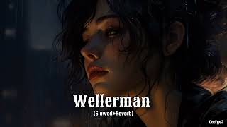 Wellerman slowedreverb Nathan Evans sea shanty [upl. by Simonette]