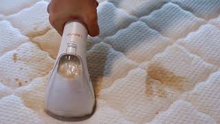 UWANT B200 Spot Cleaner and Steamer Mattress Cleaning Demo Video [upl. by Aizirk]