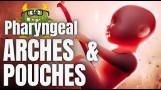 Pharyngeal Pouches amp Arches Mnemonic for USMLE [upl. by Chobot486]