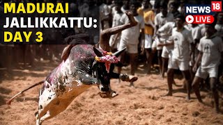 Madurai Jallikattu LIVE  Bull Taming Festival At Alanganallur Madurai In Tamil Nadu LIVE  N18L [upl. by Isac]