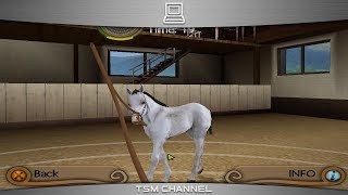 My Riding Stables  Life With Horses part 6 Horse Game [upl. by Spoor]