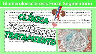 ⚕️🩺 Glomerulopatías GLOMERULOESCLEROSIS FOCAL Y SEGMENTARIA Síntomas Diagnóstico y Tratamiento [upl. by Lika]