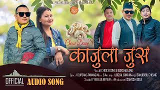 Badam Kajula Jush tamang Song By Choice DongAgnisha LamaDupasang Tamang 20232080 [upl. by Ibrab]