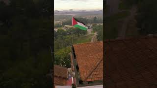 Leve Palestina The SoulStirring Anthem Lagu Medina 🎶 [upl. by Esened]