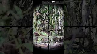 Airsoft Gameplay  Hits 45 airsoft gameplay fun sports combat [upl. by Lihcox]