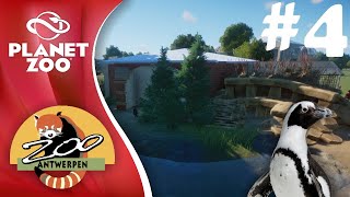 Planet Zoo  Antwerp Zoo 4 African Penguin Habitat [upl. by Ydassac]