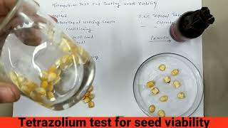 कैसे जाने की बीज जीवित है या नही।Tetrazolium Test For Testing Seed viability जीवन क्षमता परीक्षण [upl. by Taran]