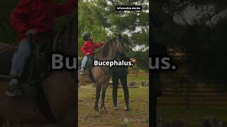 How 12YearOld Alexander Tamed the Wild Horse Bucephalus  history factsalexanderhistoryfacts [upl. by Humo107]