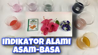 Indikator Alami Asam Basa  Natural Acid and Base Indicators  Fun In Chemistry [upl. by Dnyletak]