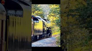 Iron Horse Fall Foliage Ramble Passenger POV Reading amp Northern T1 2102 steamengine steamtrain [upl. by Hendricks]