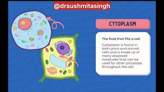 Plant Cell and Animal Cell Structure Different Cell Organelles Explainedbiology hot topic [upl. by Accisej]