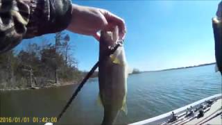 Fishing a Bass Tournament on Crown Lake in Arkansas [upl. by Htederem]