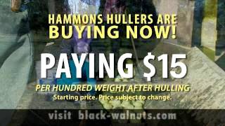 Hammons Black Walnut Harvest Commercial [upl. by Hugon293]