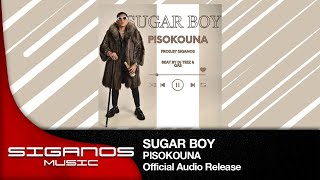 Sugar Boy  Pisokouna  Official Audio Release [upl. by Enimrac]