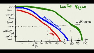 How to predict your lifespan June 2024 [upl. by Aicilas]