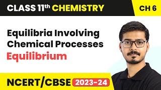 Equilibria Involving Chemical Processes  Equilibrium  Class 11 Chemistry Chapter 6 [upl. by Eicirtap569]