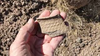 Arizona Petroglyphs and Pottery Nov13 2023 [upl. by Nonnek]