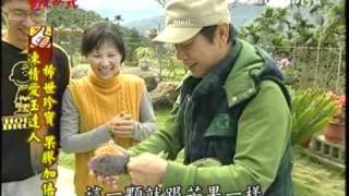 20110307 草地狀元凍情愛玉 14 [upl. by Iahc616]