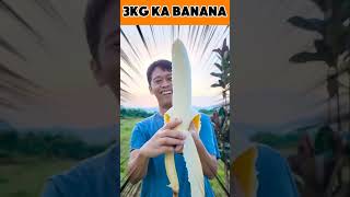 3 kg ka banana amazingfacts shorts [upl. by Reynold151]