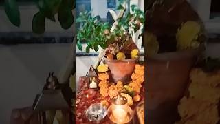 Meri tulshi ke gamle mein Om likha hai🌺🙏viralvideoshortsviralytshortsviralshortshortsviral [upl. by Doreen]