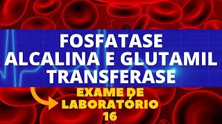 FOSFATASE ALCALINA E GAMA GLUTAMIL TRANSFERASE  ALTERAÇÕES ENZIMAS HEPÁTICAS [upl. by Murry788]