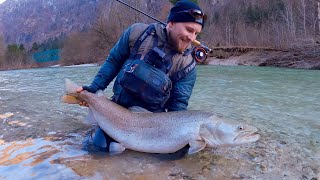 Hucho Fly fishing in Slovenia  Pêche du huchon en Slovénie à la mouche  December 2023 [upl. by Alegnad46]