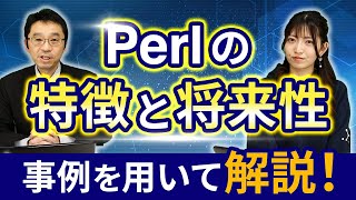 【徹底解説】Perlの特徴と将来性について [upl. by Neenahs440]