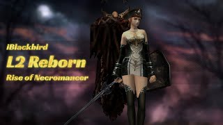 L2 Reborn  Necromancer AOE farm in Disciples Necropolis [upl. by Aihtnys271]