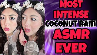 Coconut Rainfall ASMR  Most Calming Tropical Triggers [upl. by Alleyne247]