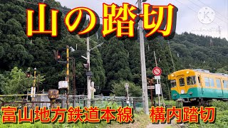 富山地方鉄道本線 内山駅 構内踏切 [upl. by Frodin]