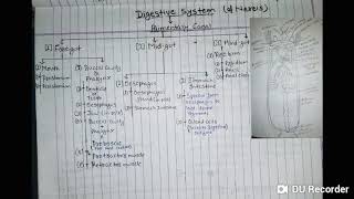 Digestive system of Nereis Bsc 1st year  YashPartner [upl. by Sima]