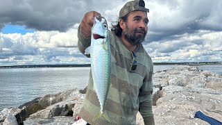 Mackerel Fishing From Shore in Narragansett Providence Rhode Island [upl. by Lleze]