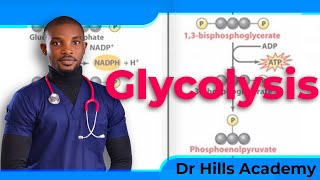 Metabolism  Glycolysis Made Easy [upl. by Hairakcaz]