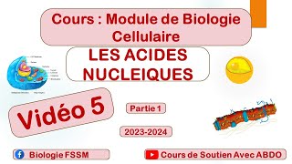 Biologie Cellulaire BCG S1  Partie des Acides Nucléiques [upl. by Esli]